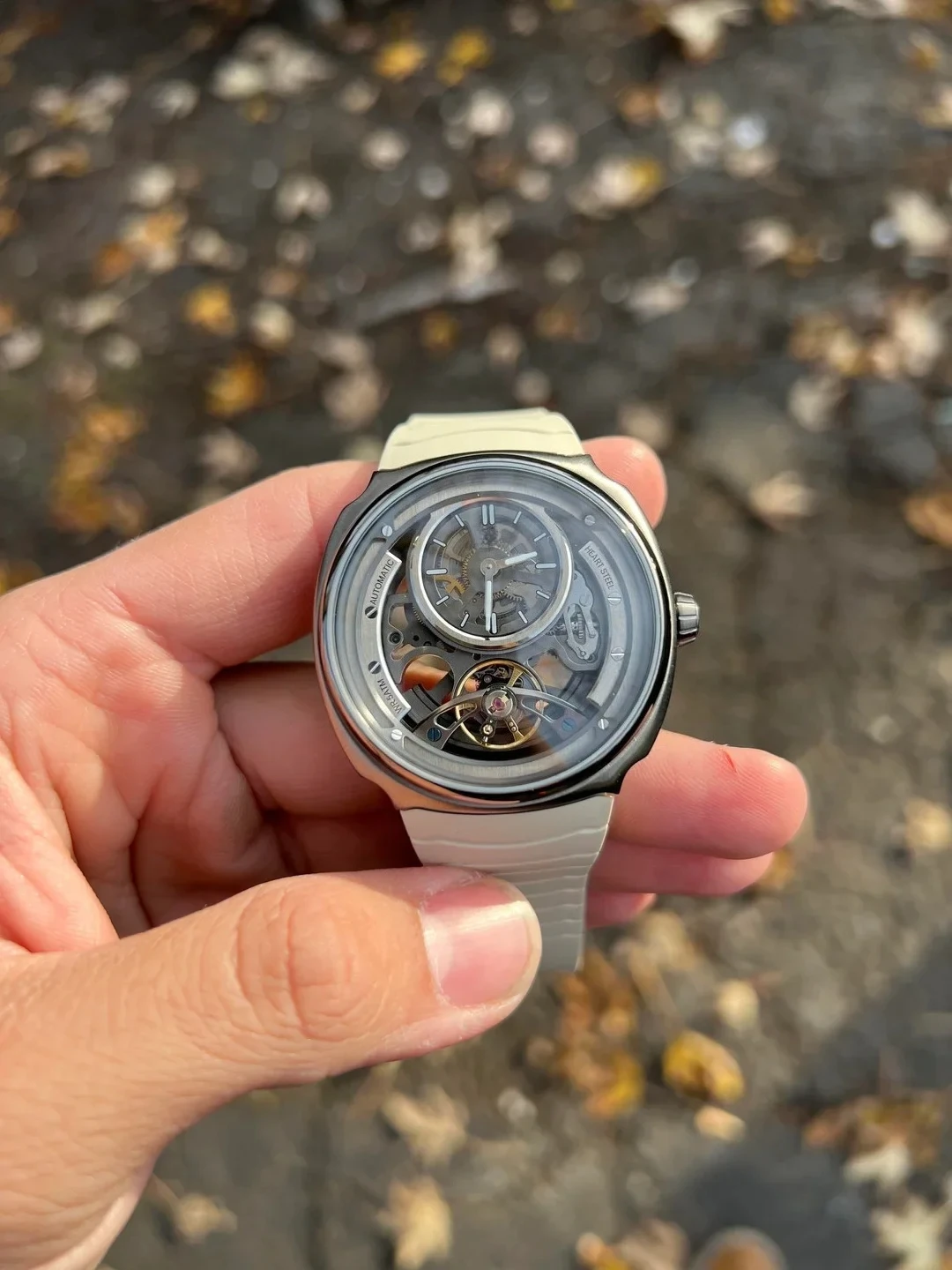 Luxury Watch Offers - Offerta Limitata DG8127 Orologio Meccanico Automatico