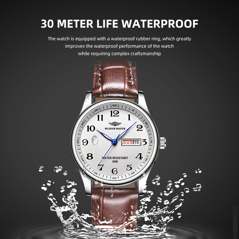 WLISTH Orologio da uomo di mar - Luxury Watch Audemars Piguet recensione e prezzo