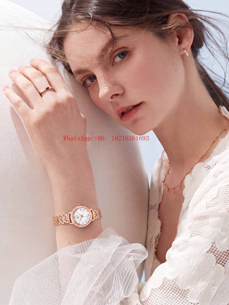 Offerta Limitata: Orologio al  - Luxury Watch Offers recensione e prezzo